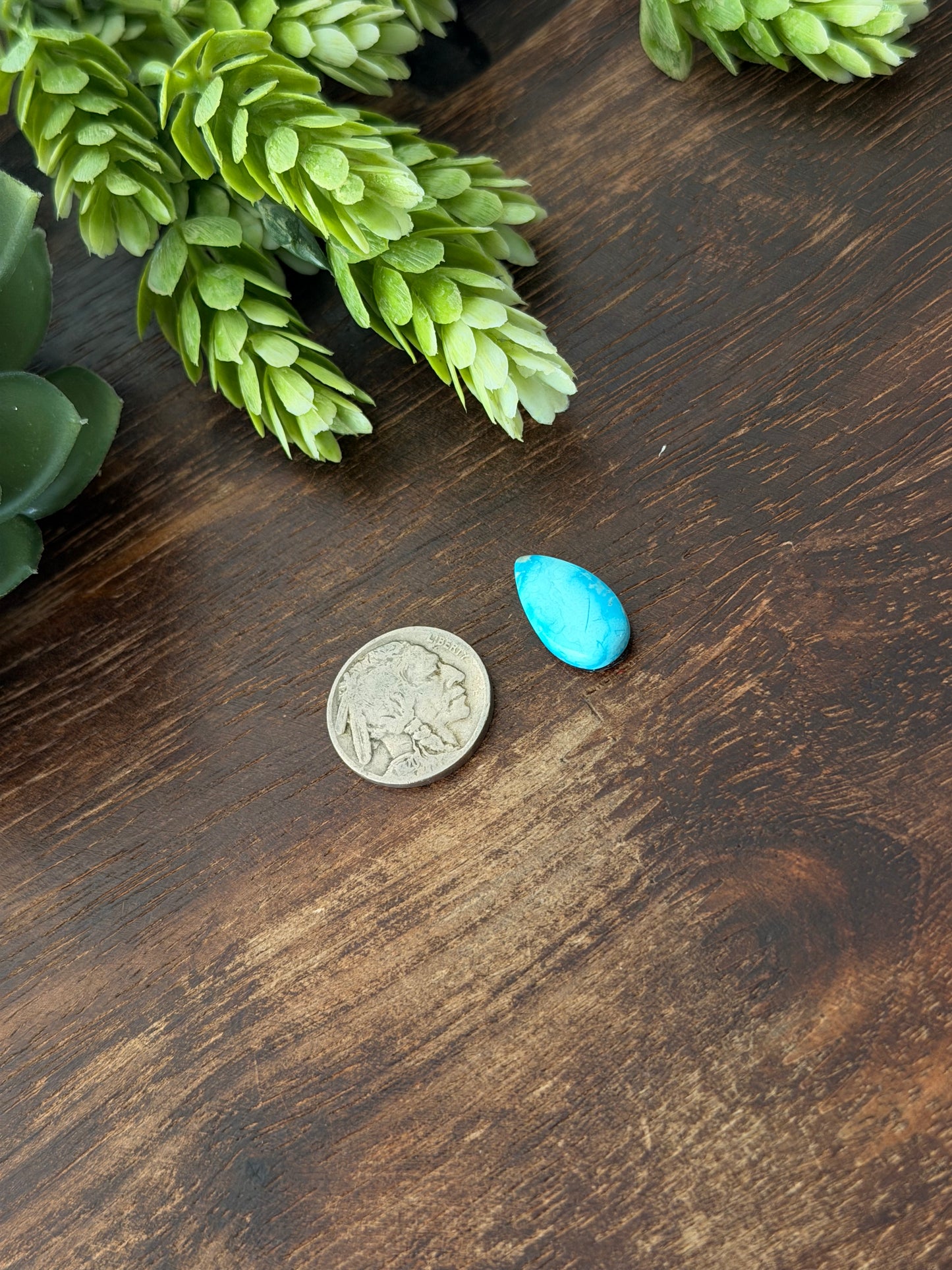 Blue Bird Turquoise Cab