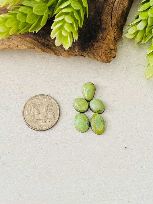 Natural Sonoran Gold Turquoise Cabs