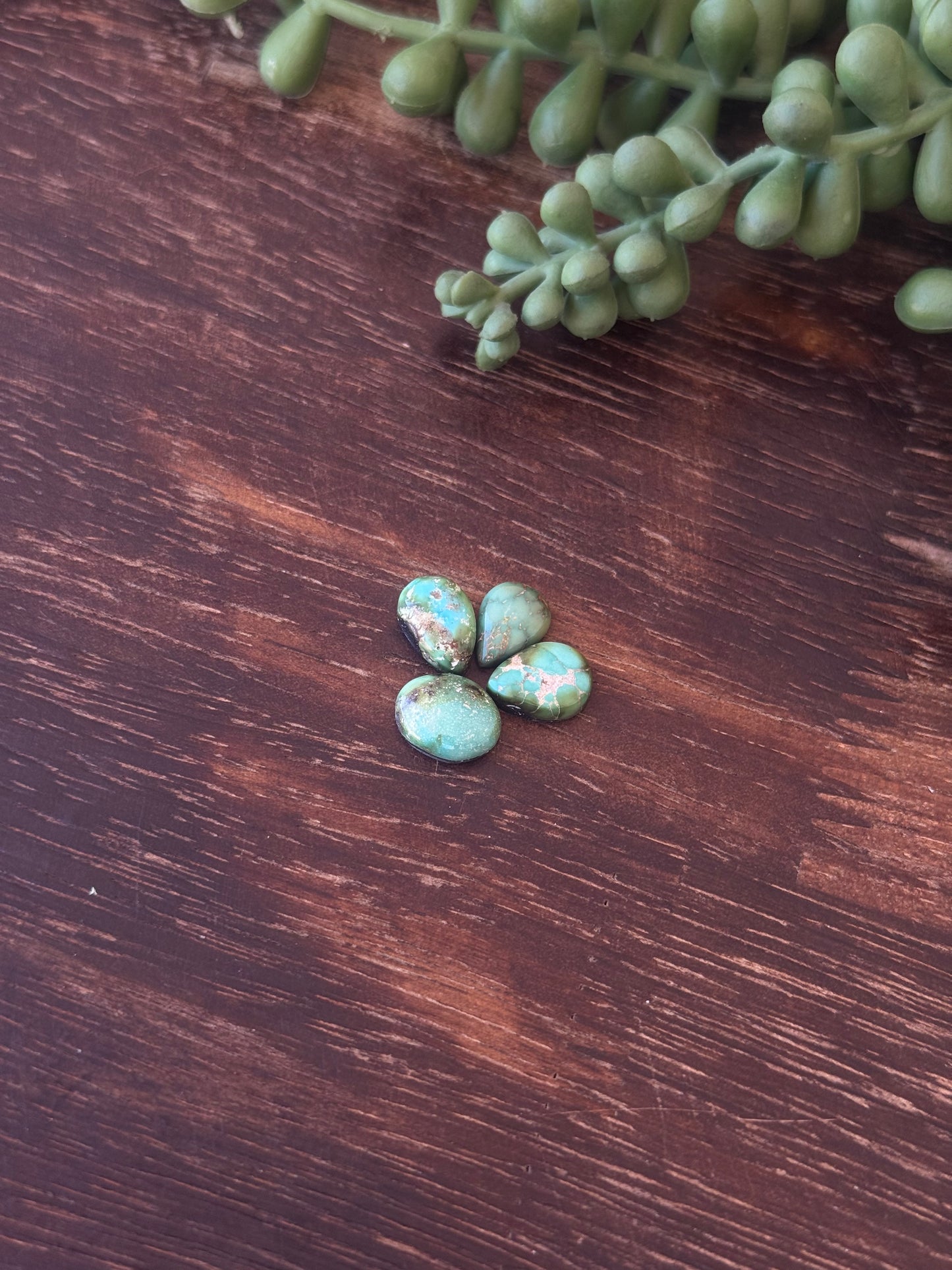 Sonoran Mountain Turquoise Cabs