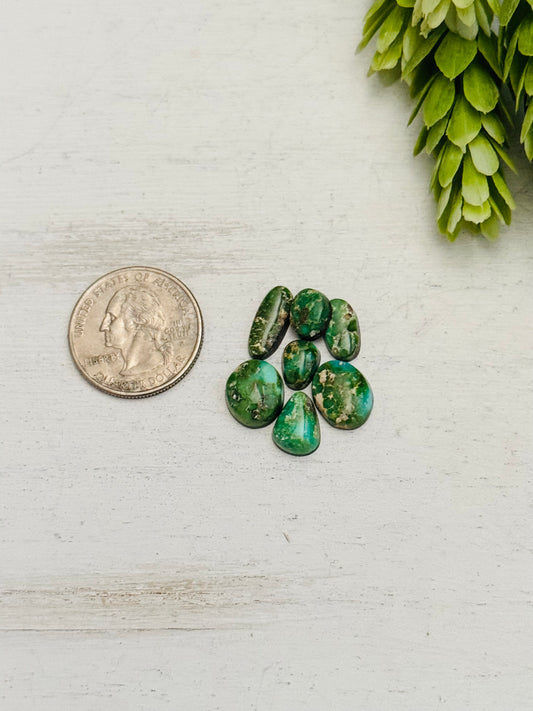 Natural Sonoran Gold Turquoise Cabs