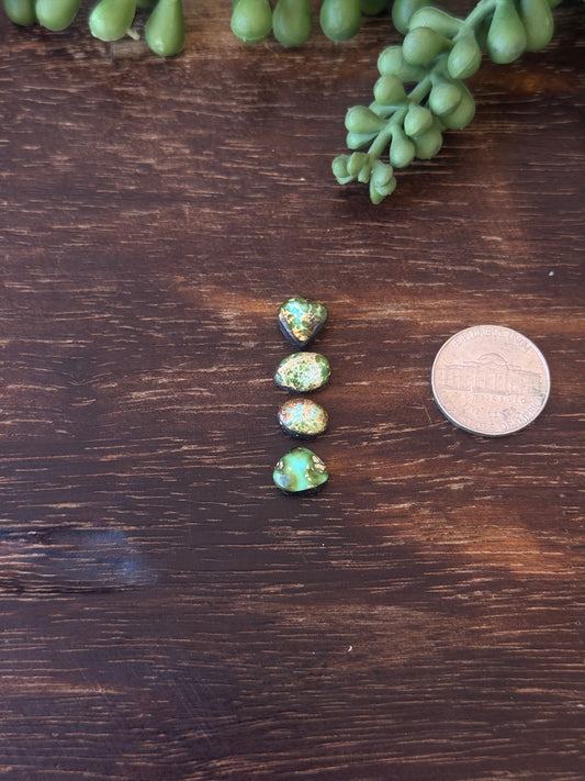 Sonoran Mountain Turquoise Cabs