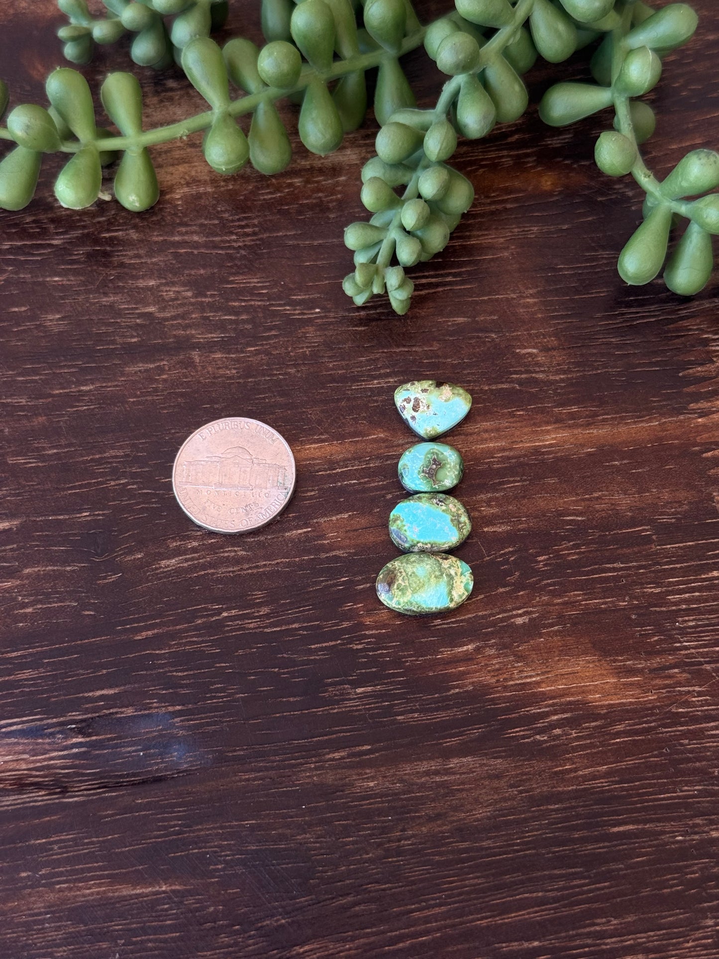 Sonoran Mountain Turquoise Cabs