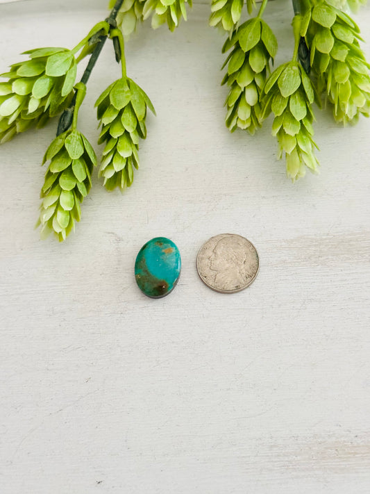 Kingman Turquoise Cab