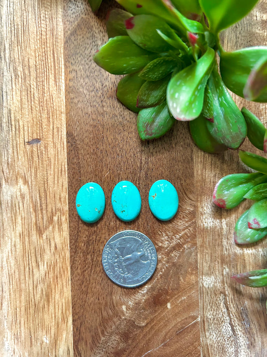 Kingman Turquoise Cabs