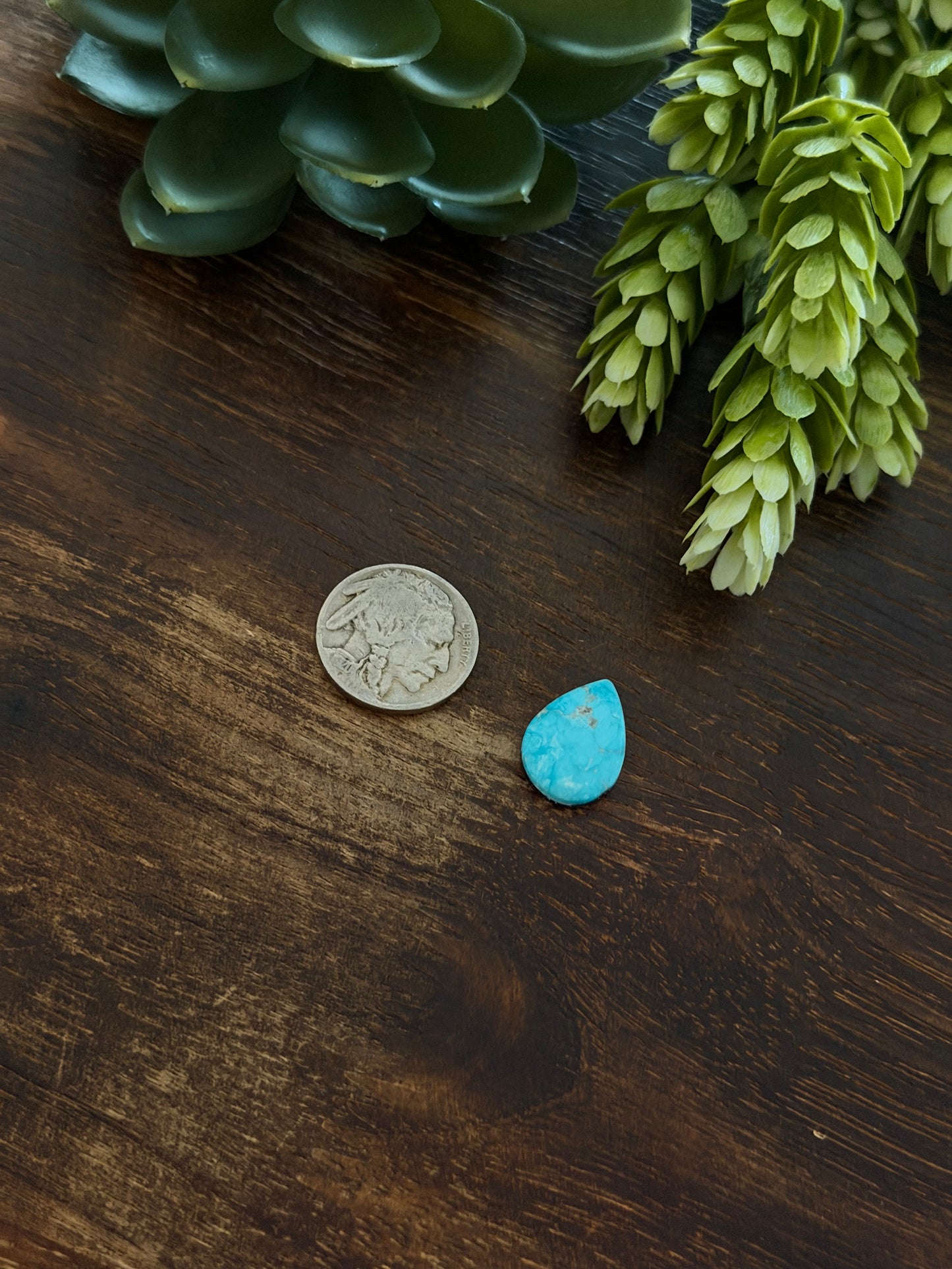 Blue Bird Turquoise Cab