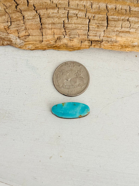 Natural Kings Manassa Turquoise Cab