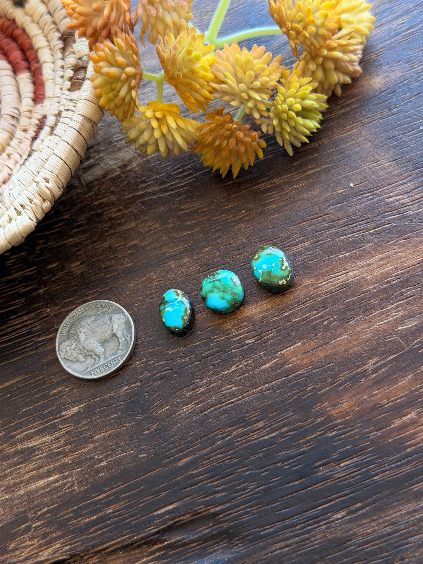 Sonoran Mountain Turquoise Cabs