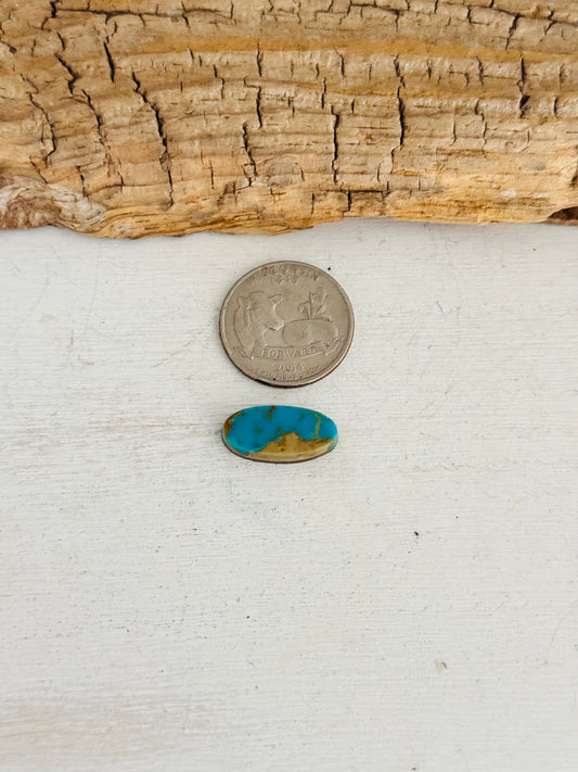 Natural Kings Manassa Turquoise Cab