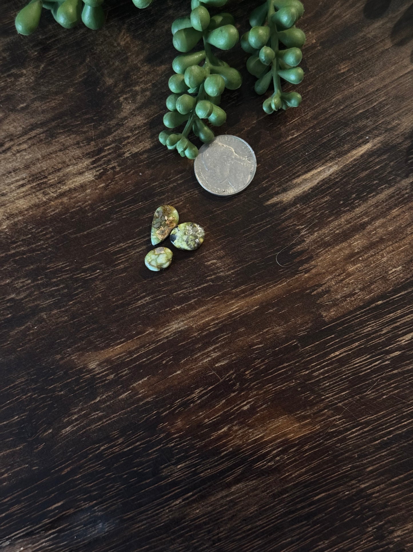 Palomino Variscite Cabs