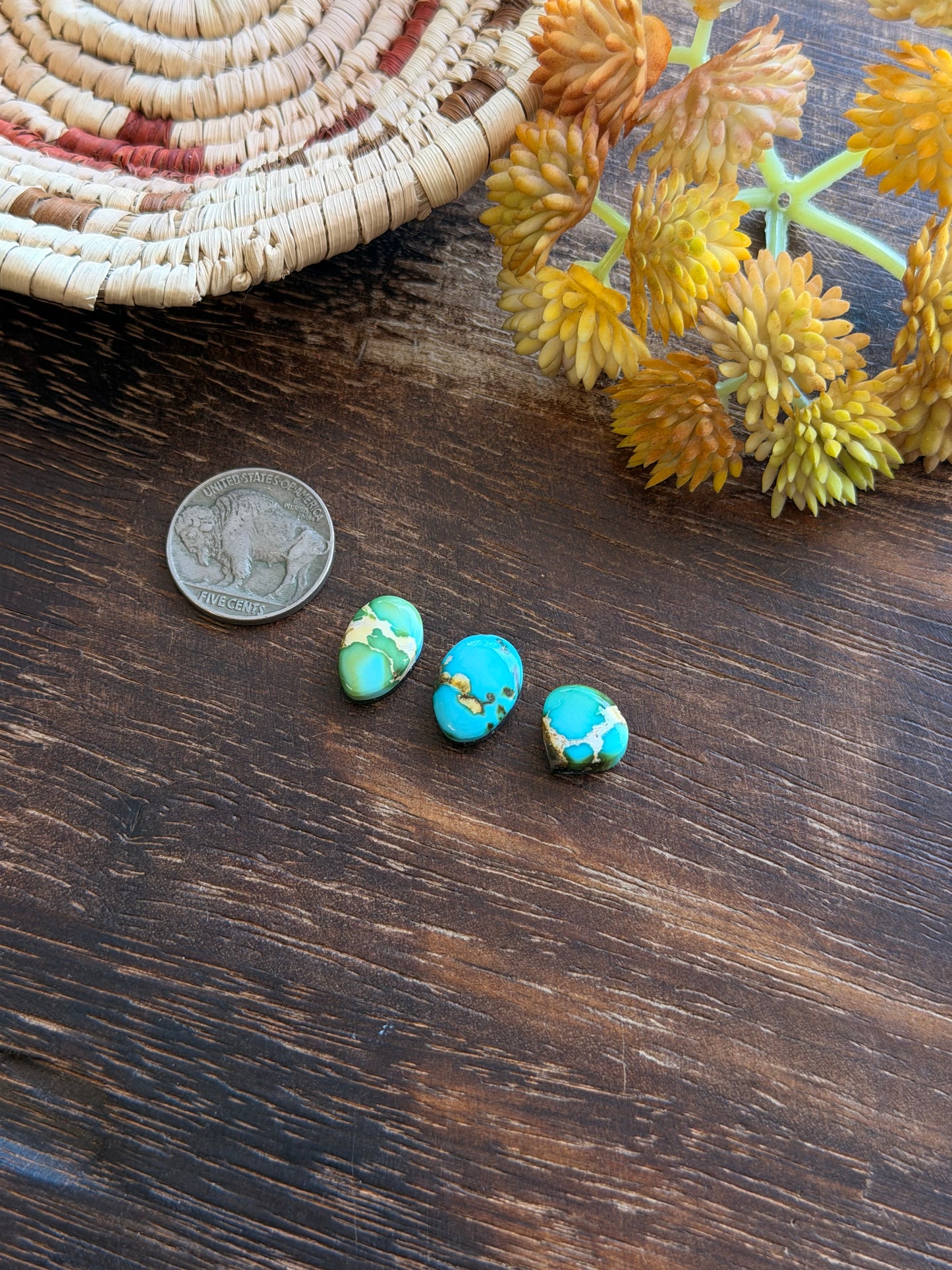Sonoran Mountain Turquoise Cabs