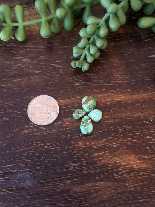 Sonoran Mountain Turquoise Cabs
