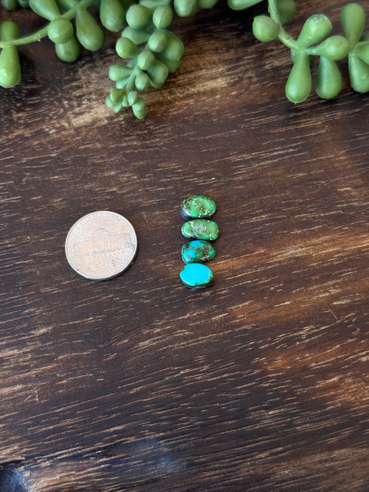 Sonoran Mountain Turquoise Cabs