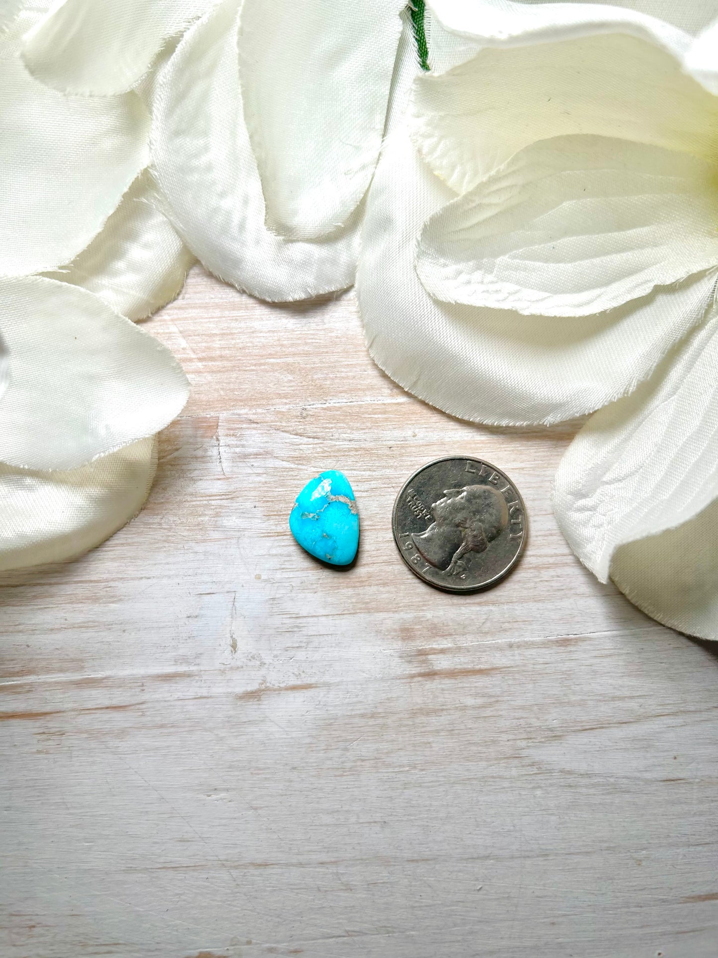 Blue Ridge Turquoise Cab