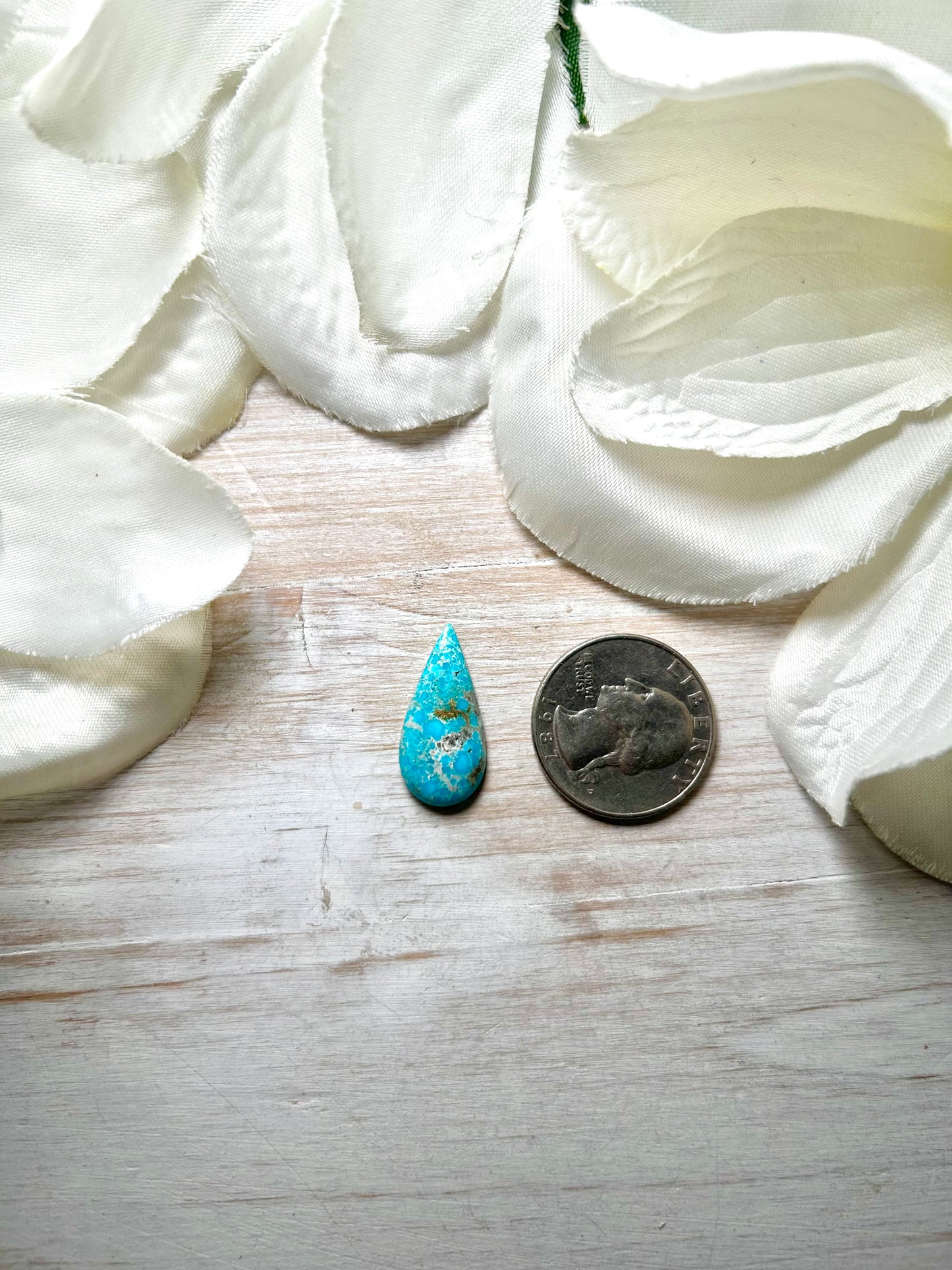 Blue Ridge Turquoise Cab
