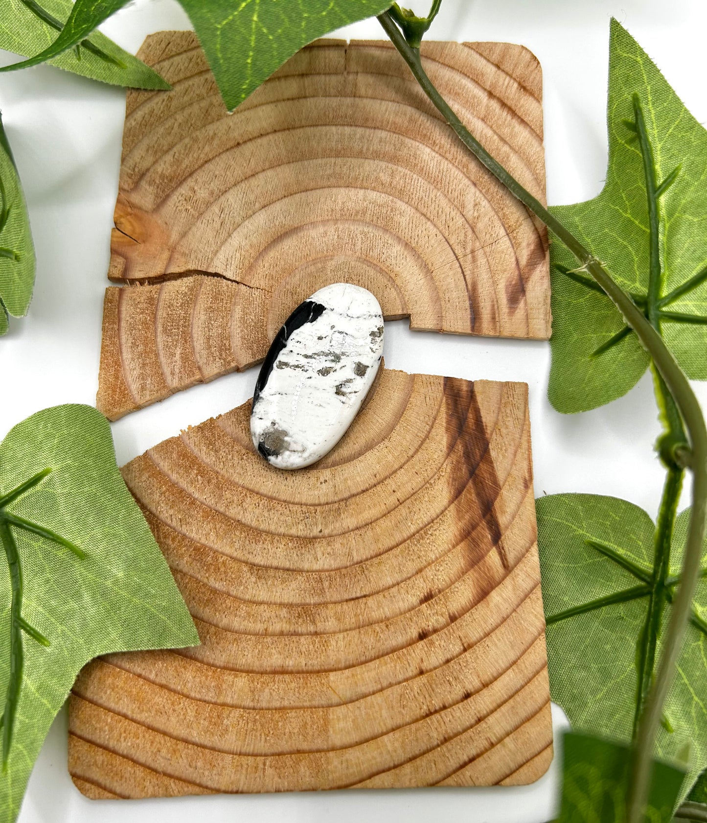 White Buffalo Cabs