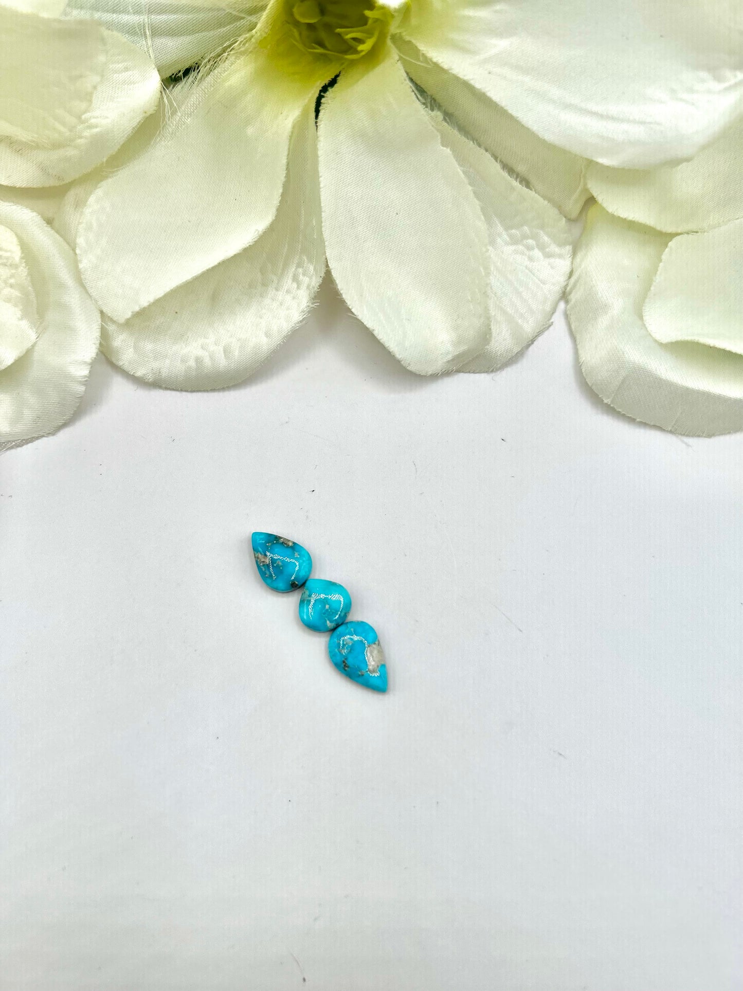 Blue Ridge Turquoise Cabs