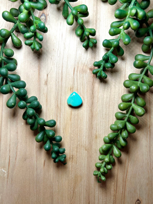 Kingman Turquoise Cab
