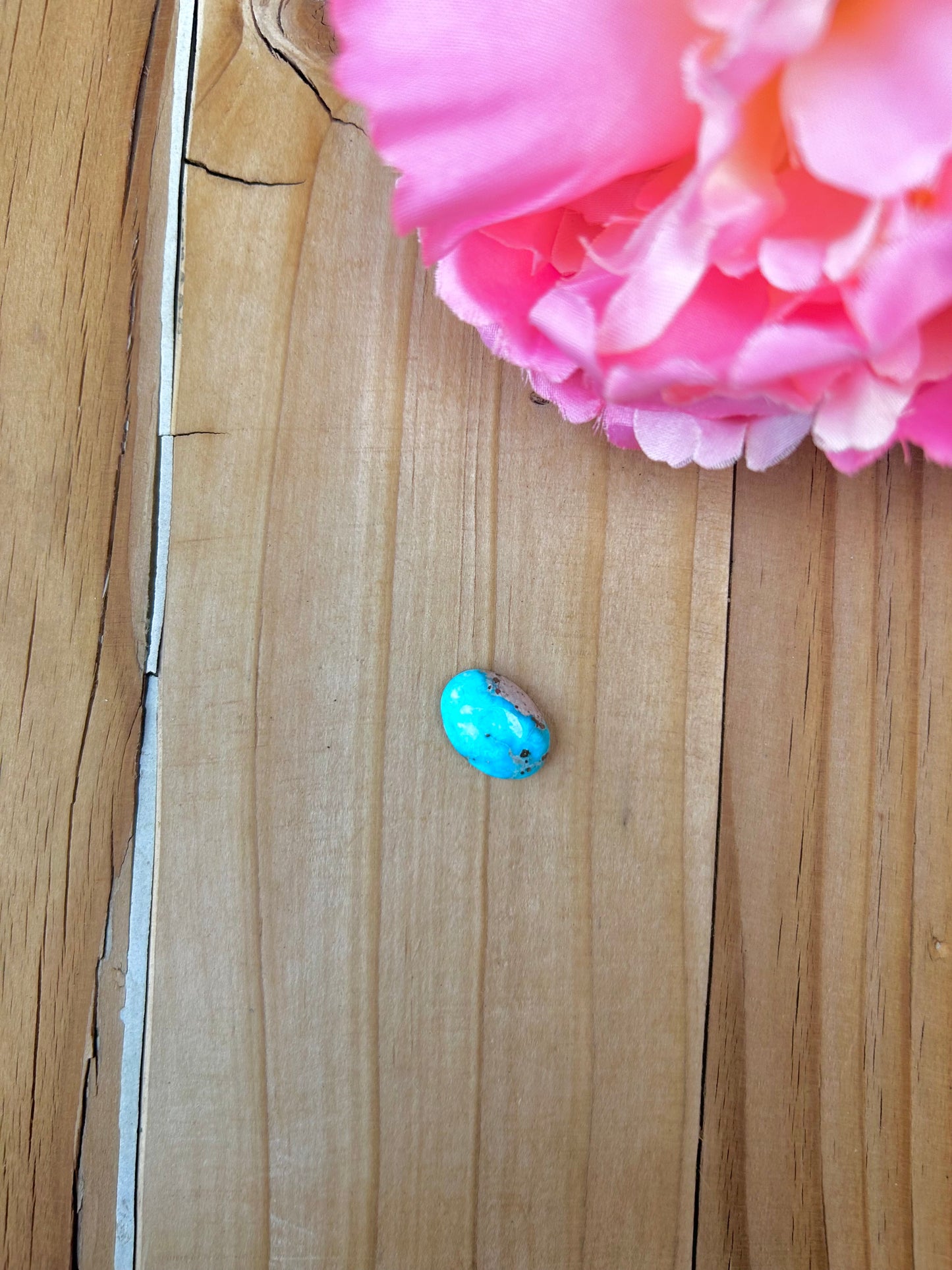 Blue Bird Turquoise Cabs