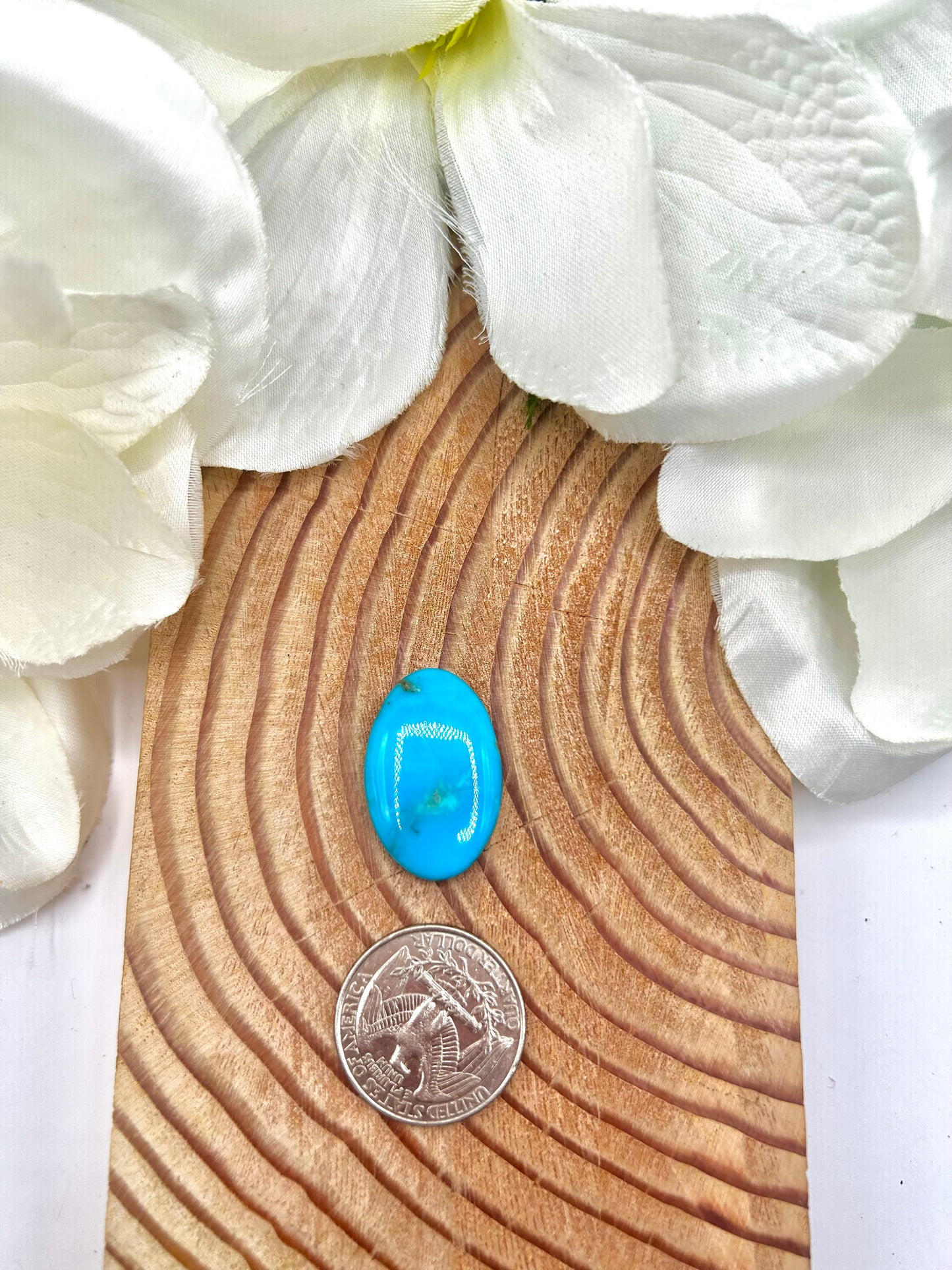 Kingman Turquoise Cab