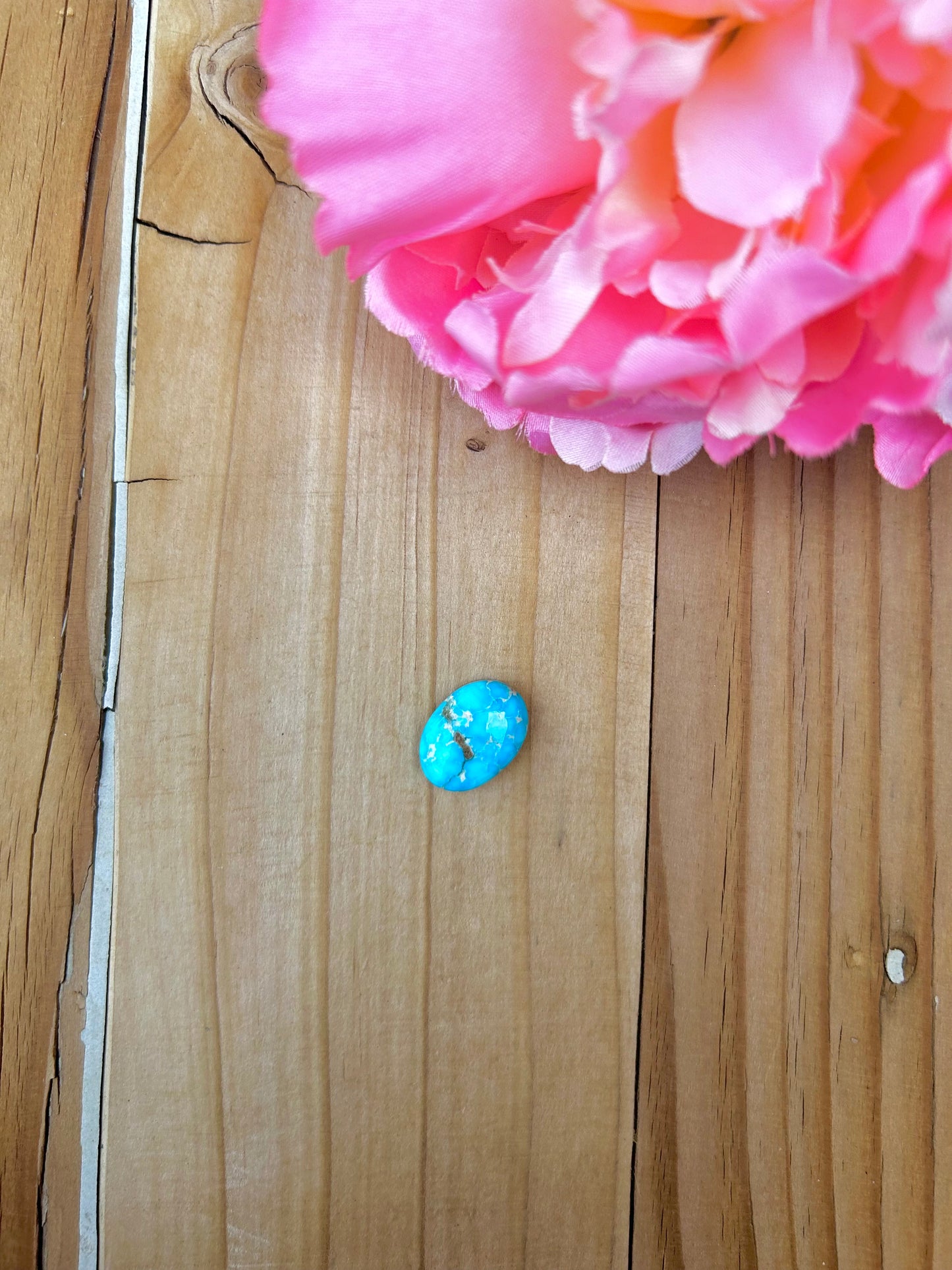 Blue Bird Turquoise Cabs