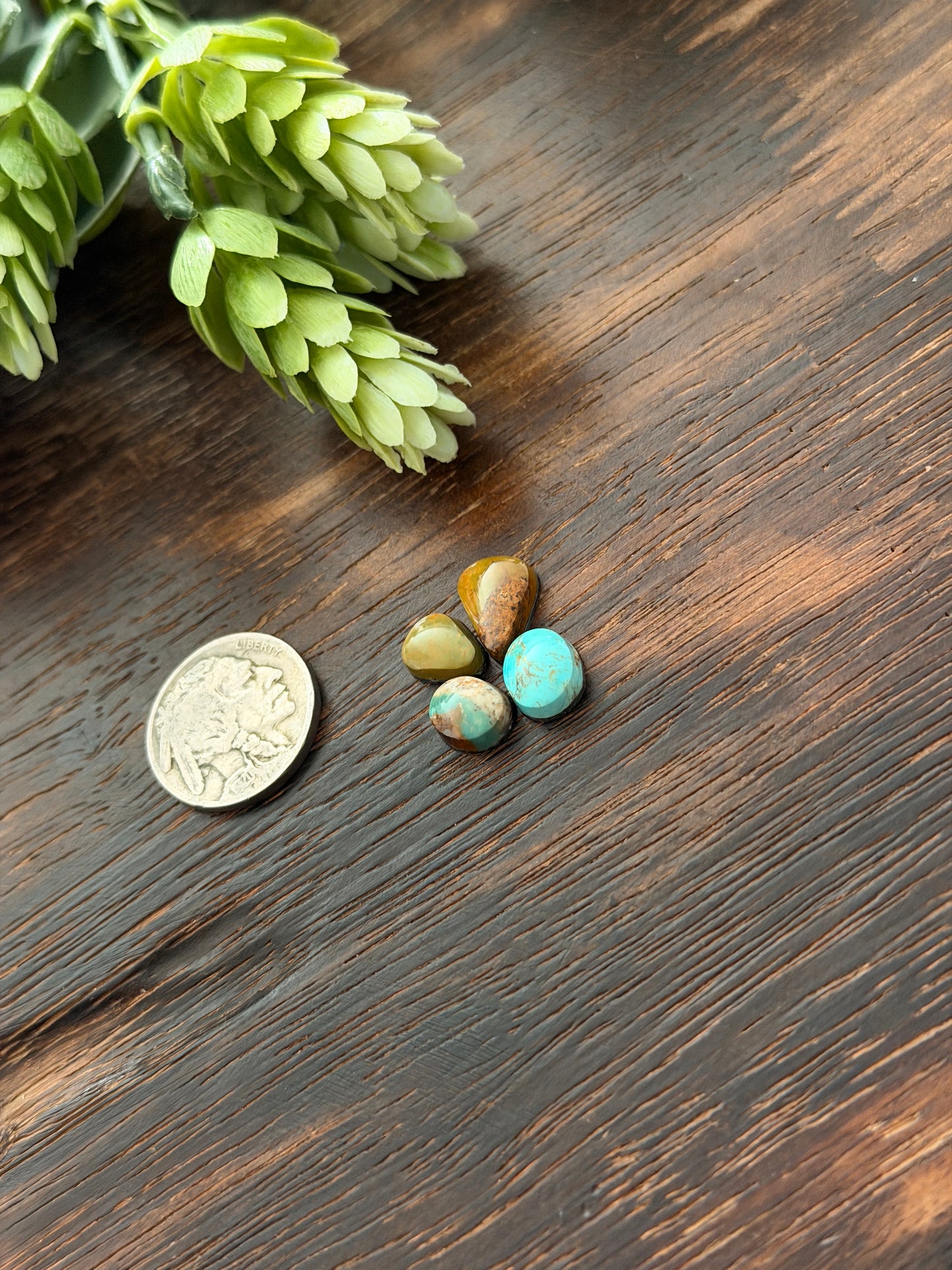 Evans Turquoise Cabs
