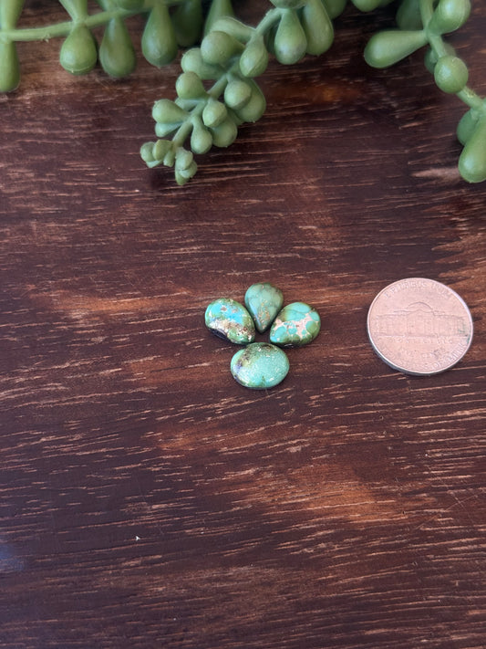 Sonoran Mountain Turquoise Cabs