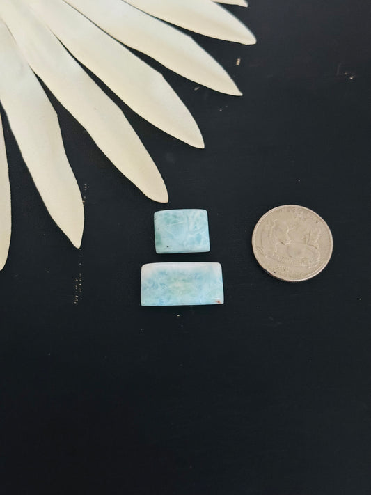 Larimar Cabs