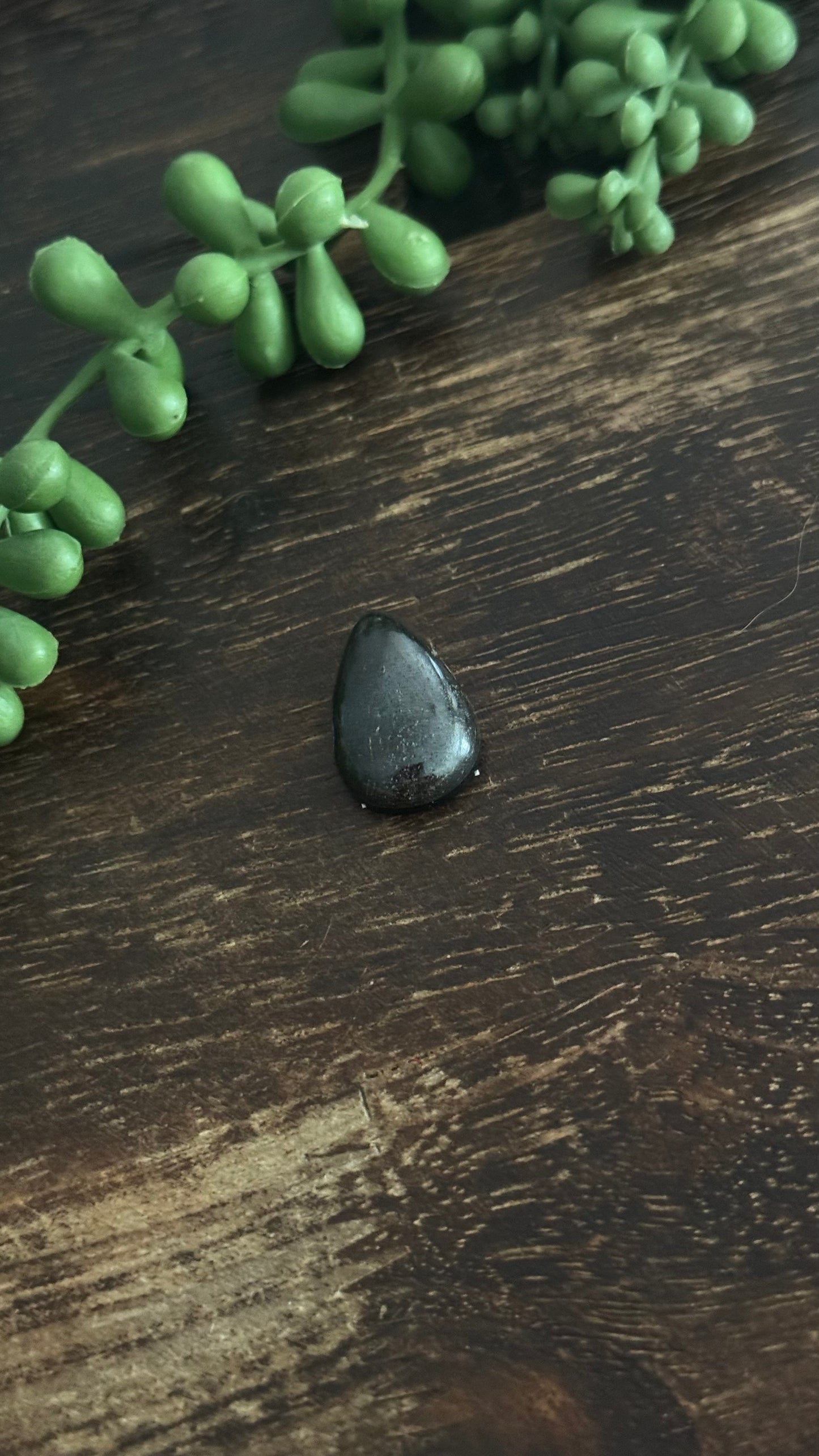 Black Jack Turquoise Cab