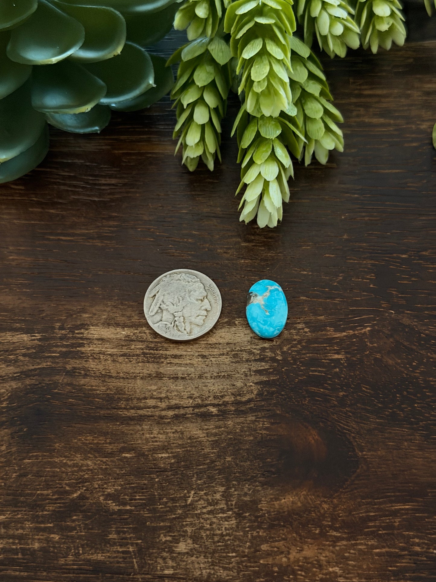 Blue Bird Turquoise Cab