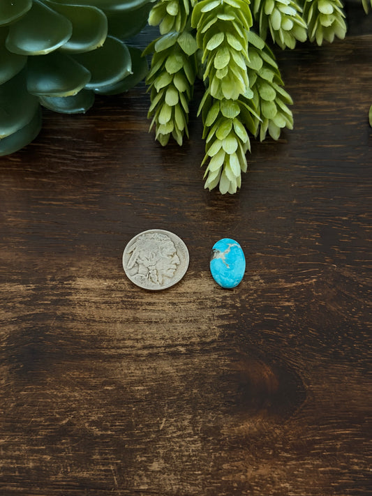 Blue Bird Turquoise Cab