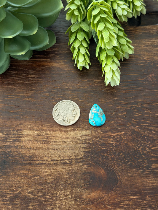 Blue Bird Turquoise Cab