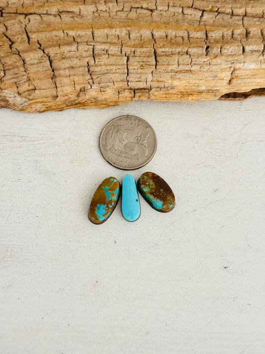 Natural Kings Manassa Turquoise Cab