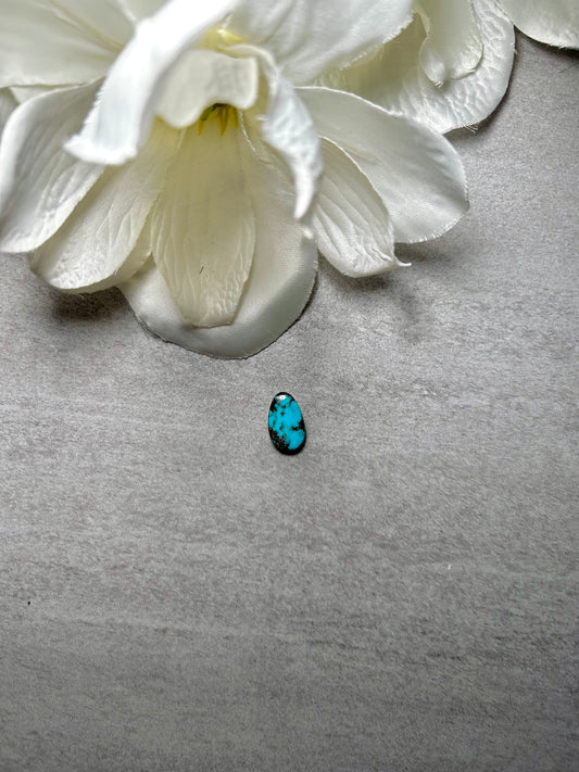 Kingman Turquoise Cab