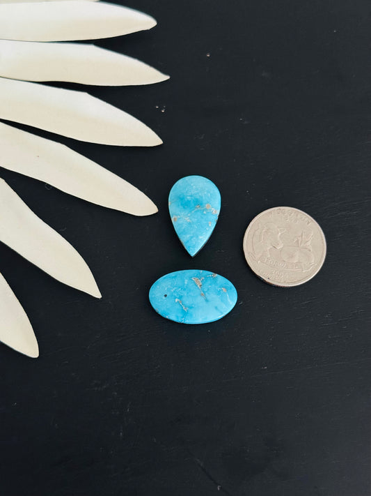 Blue Bird Turquoise Cabs