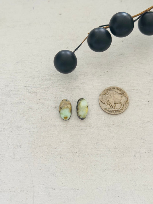 Palomino Variscite Cabs