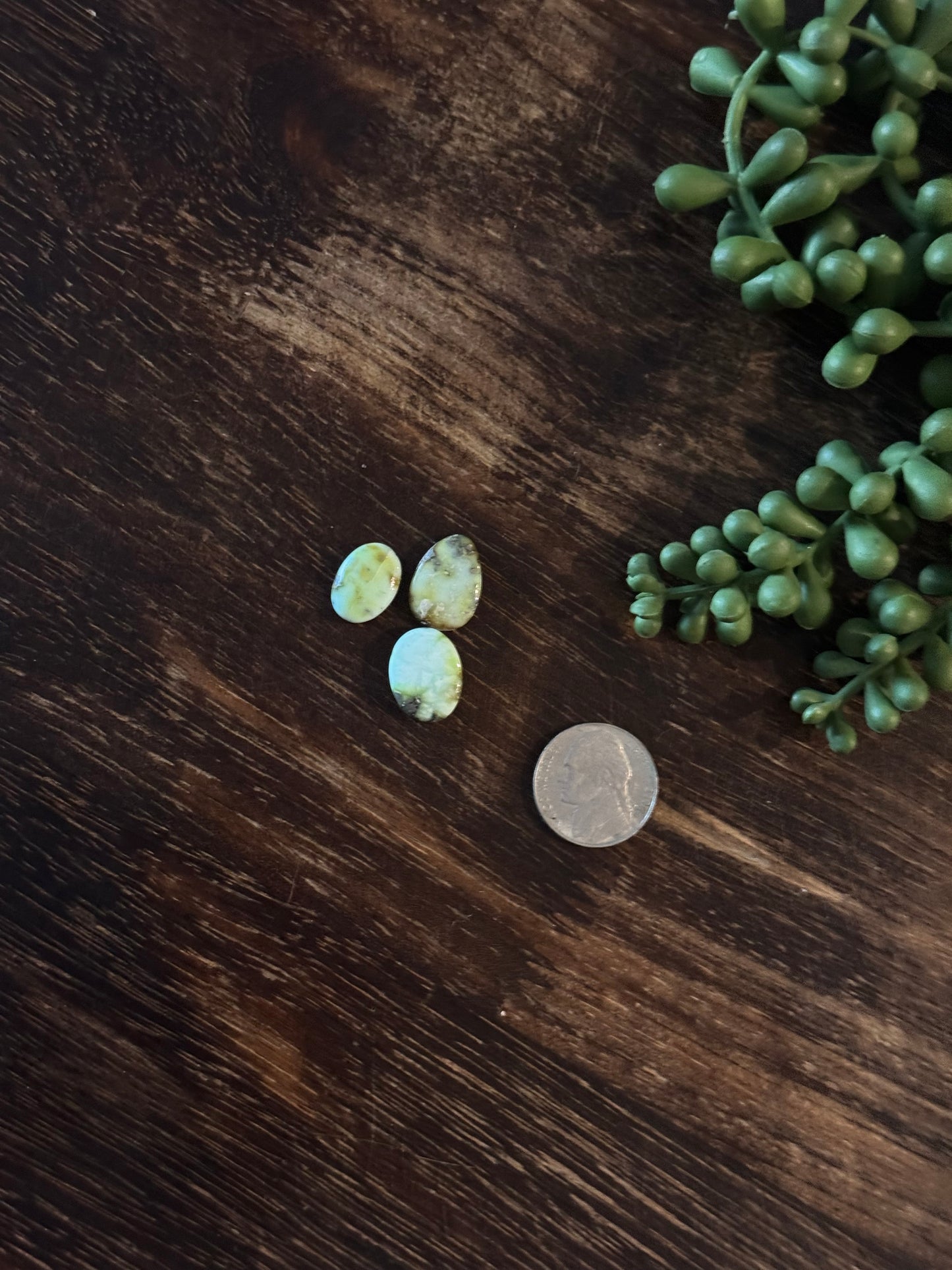 Palomino Variscite Cabs