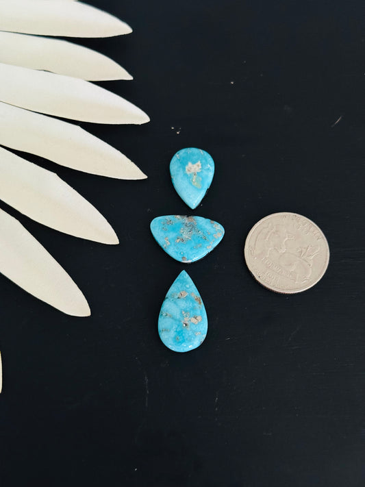 Blue Bird Turquoise Cabs