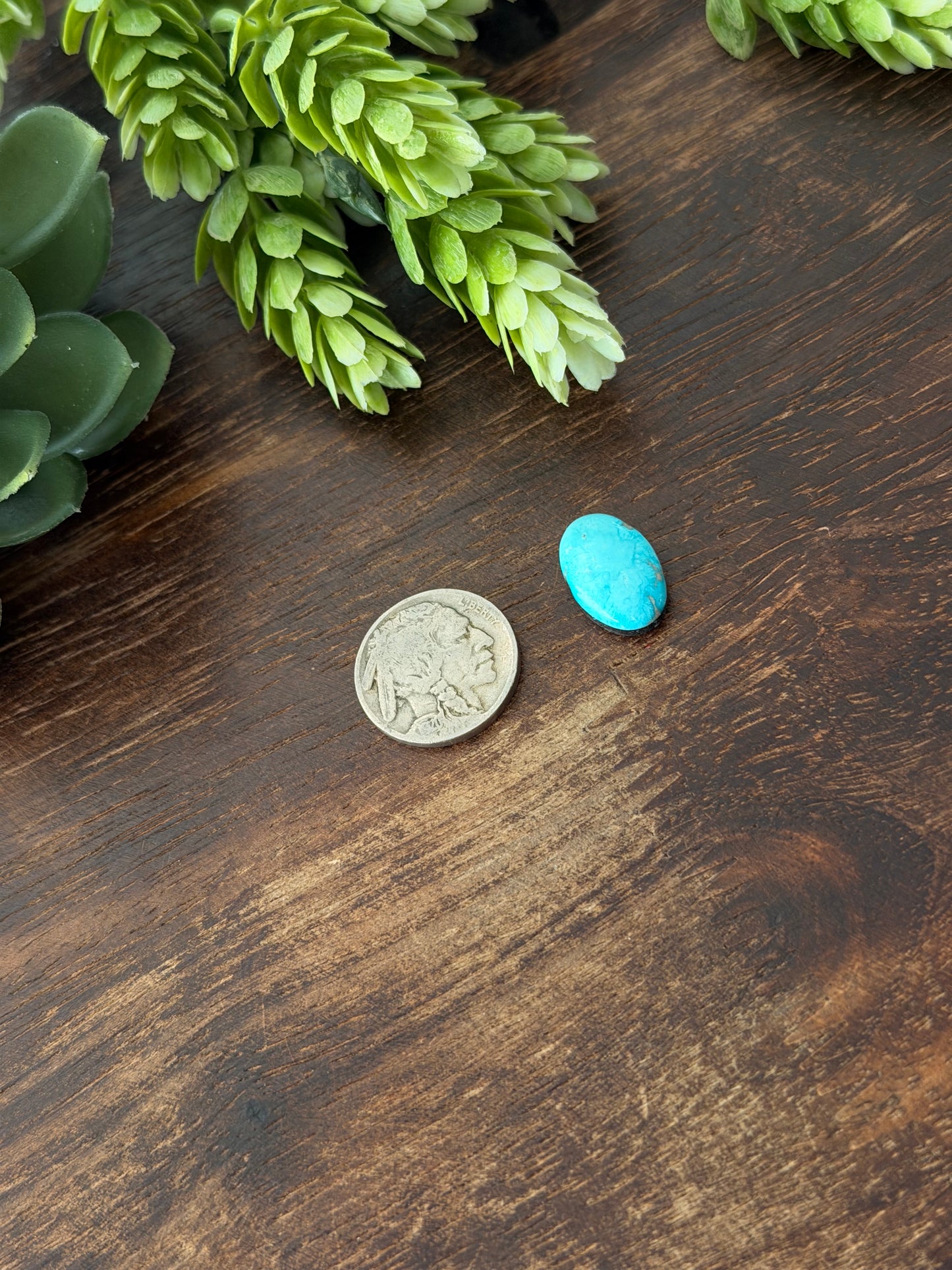Blue Bird Turquoise Cab