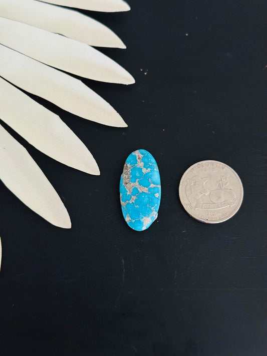 Blue Bird Turquoise Cabs