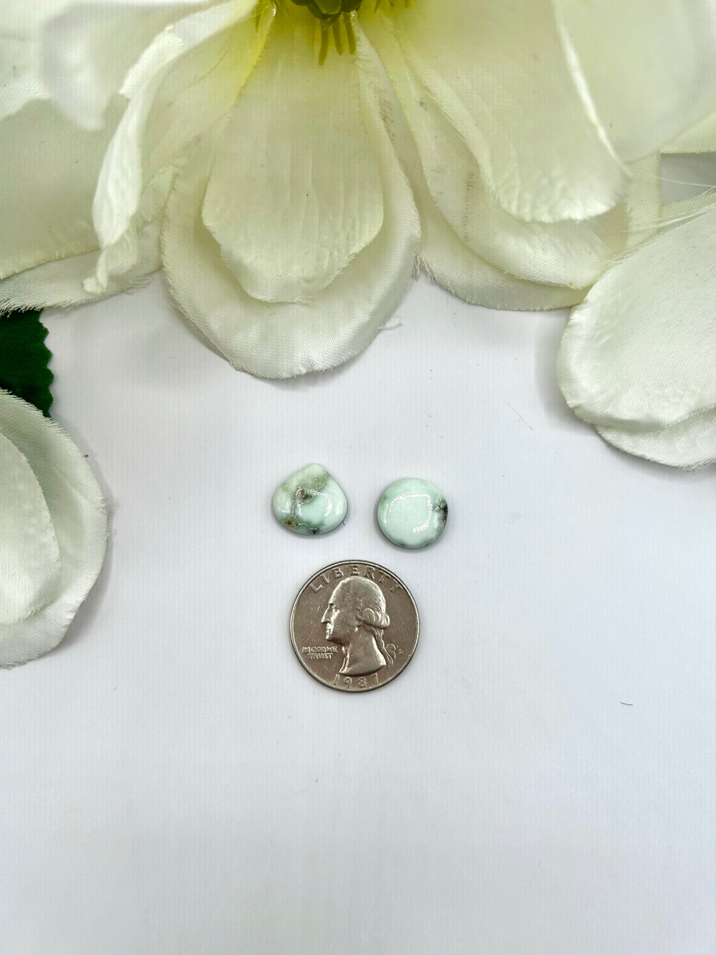 Paloma Variscite Cabs
