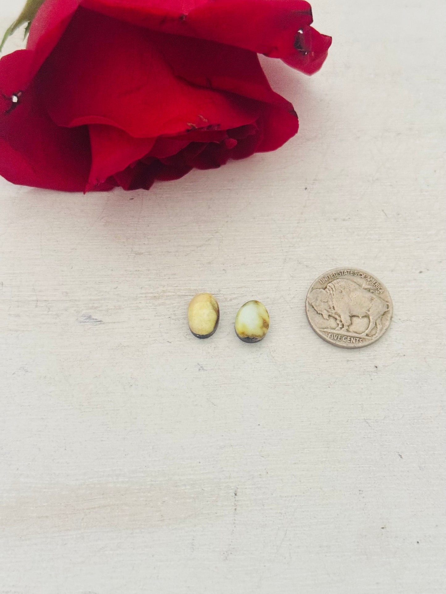 Palomino Variscite Cabs