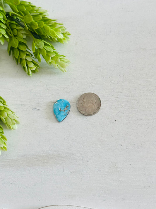 Blue Bird Turquoise Cab