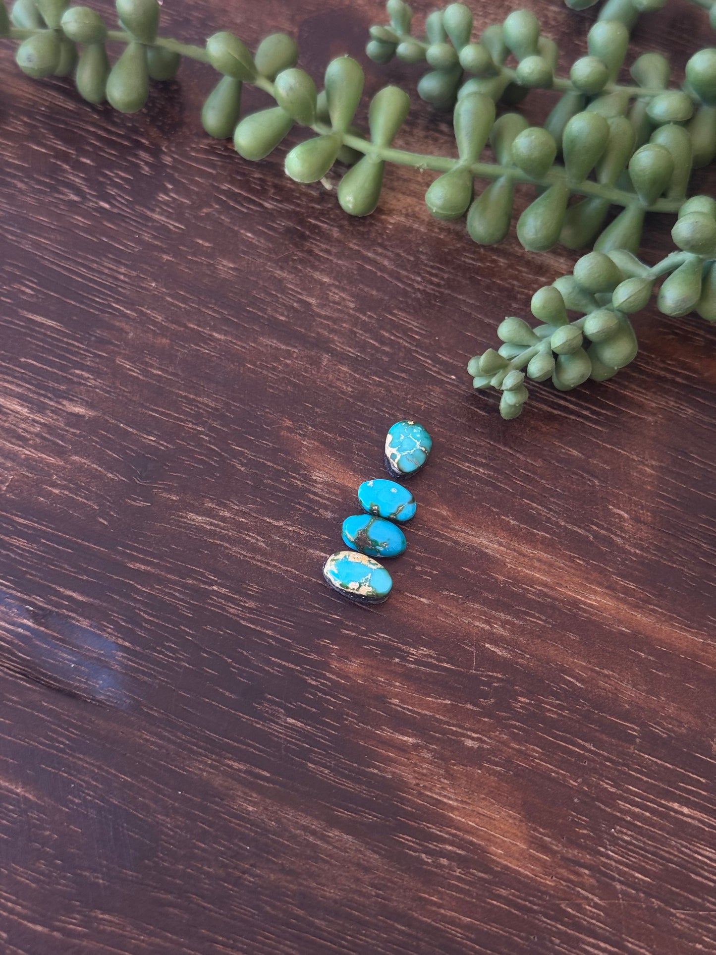 Sonoran Mountain Turquoise Cabs