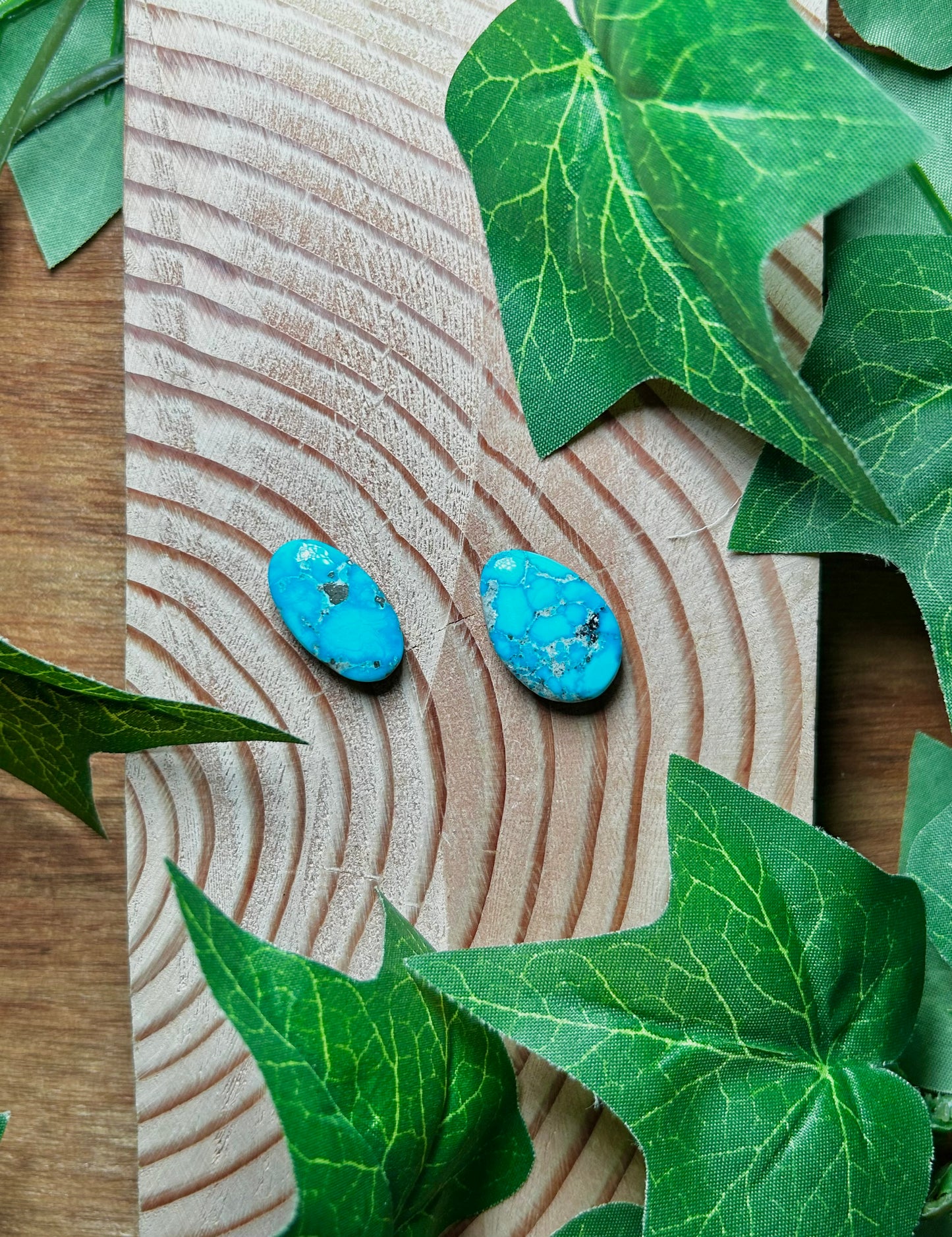 Blue Bird Turquoise Cabs