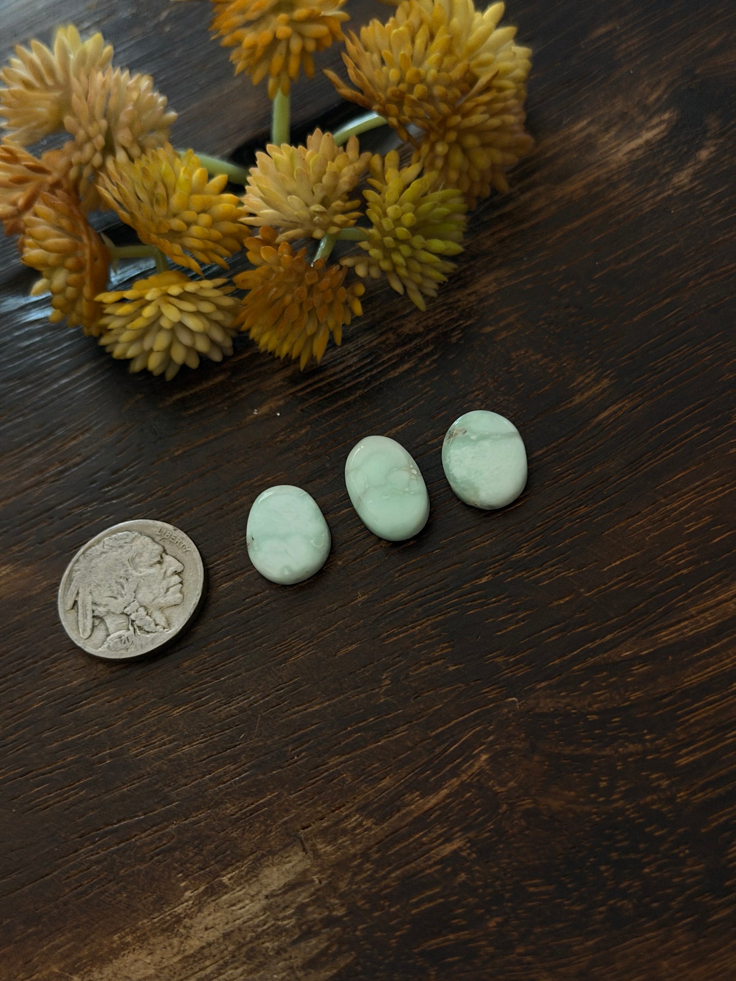 Paloma Variscite Cabs