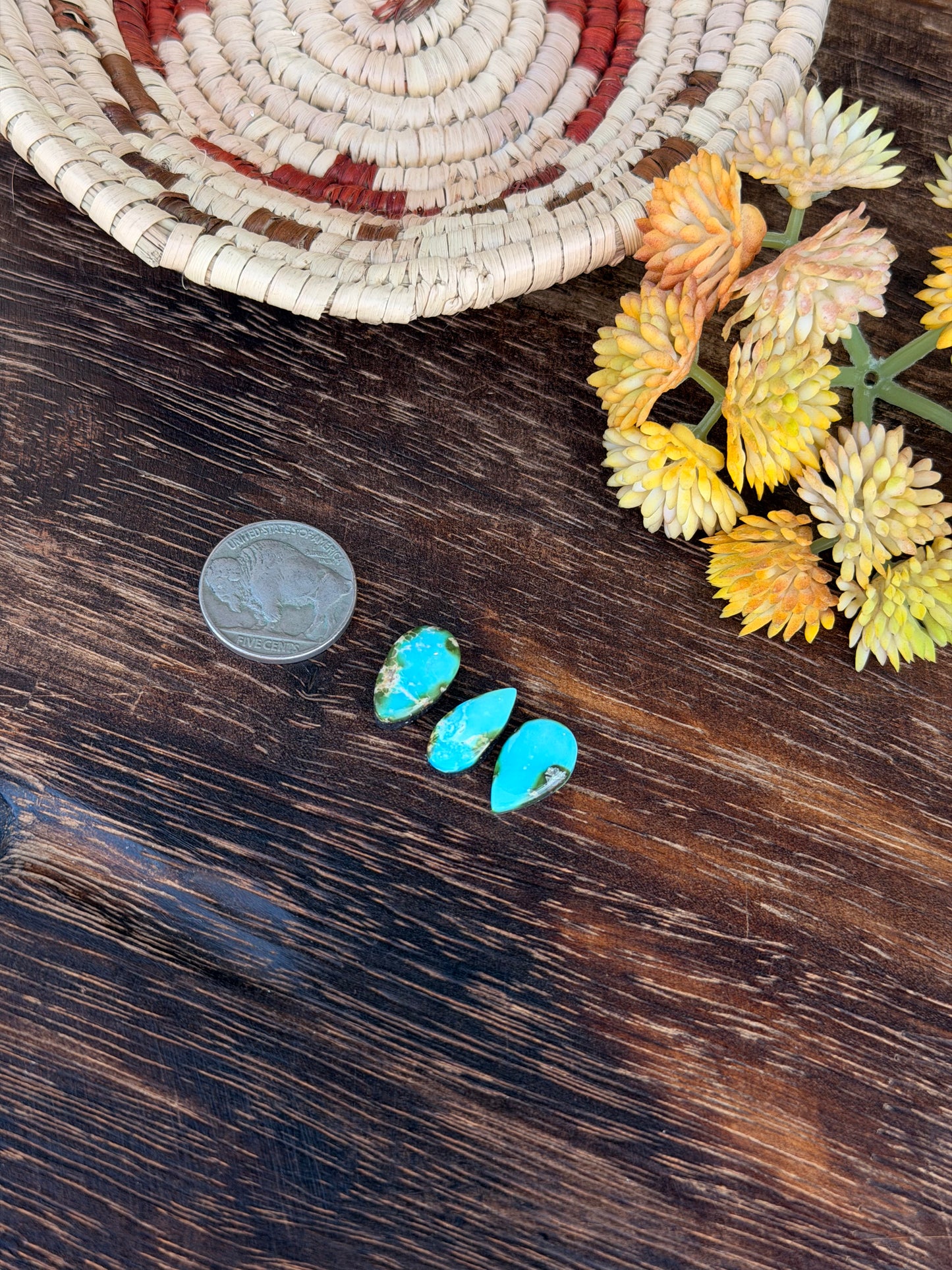 Sonoran Mountain Turquoise Cabs