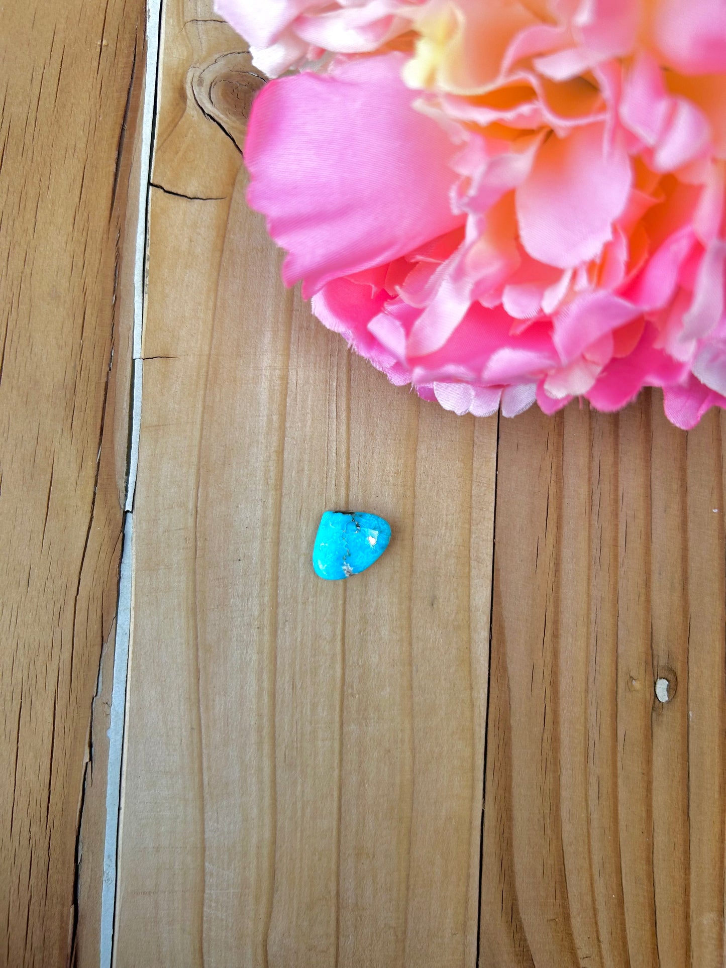 Blue Bird Turquoise Cabs