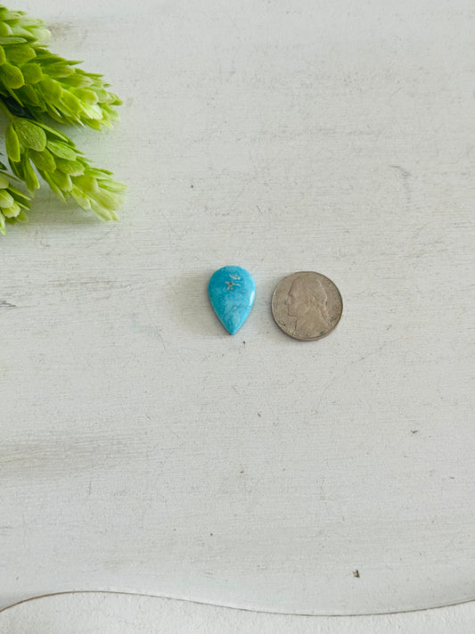 Blue Bird Turquoise Cab