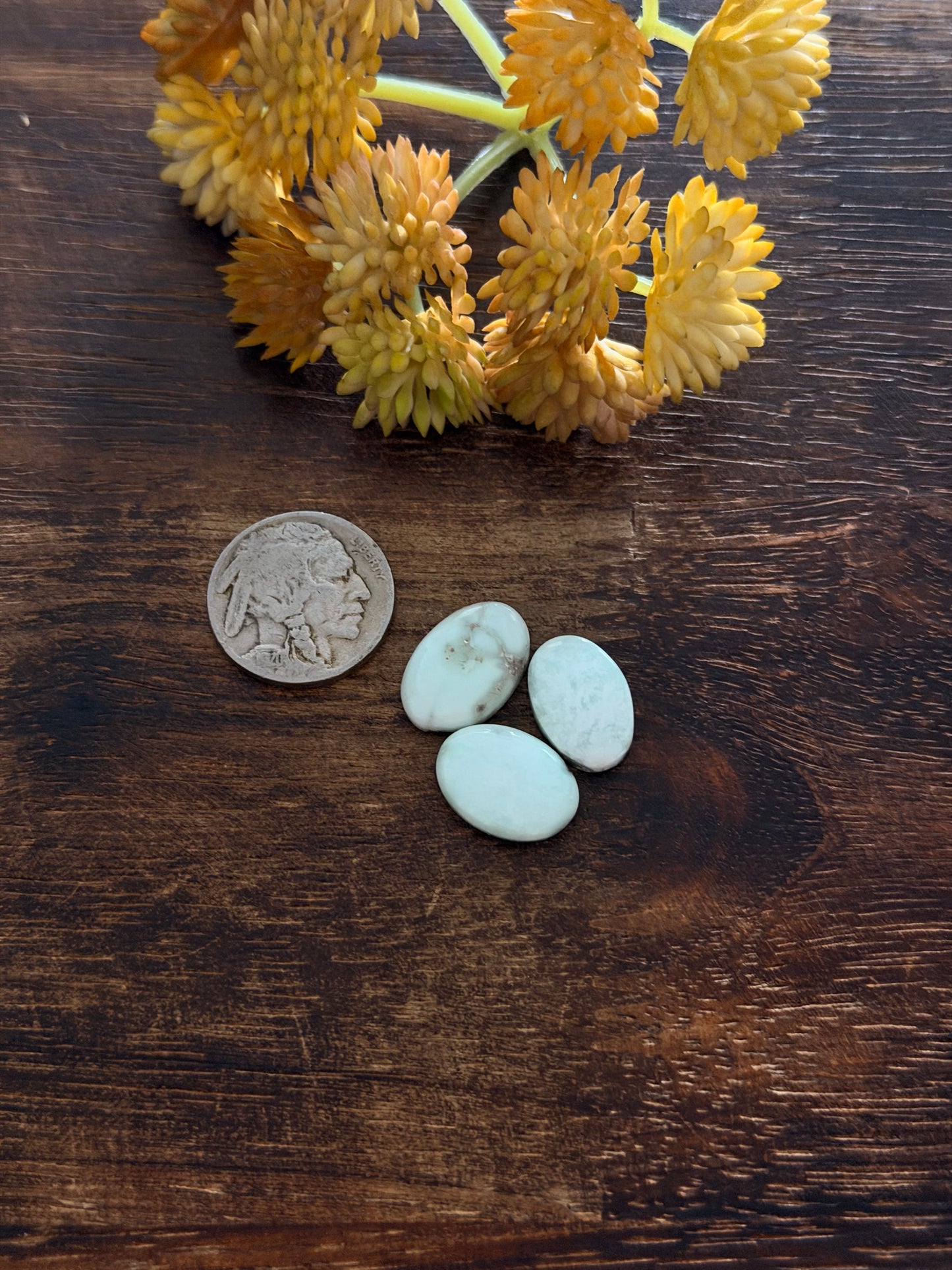 Paloma Variscite Cabs