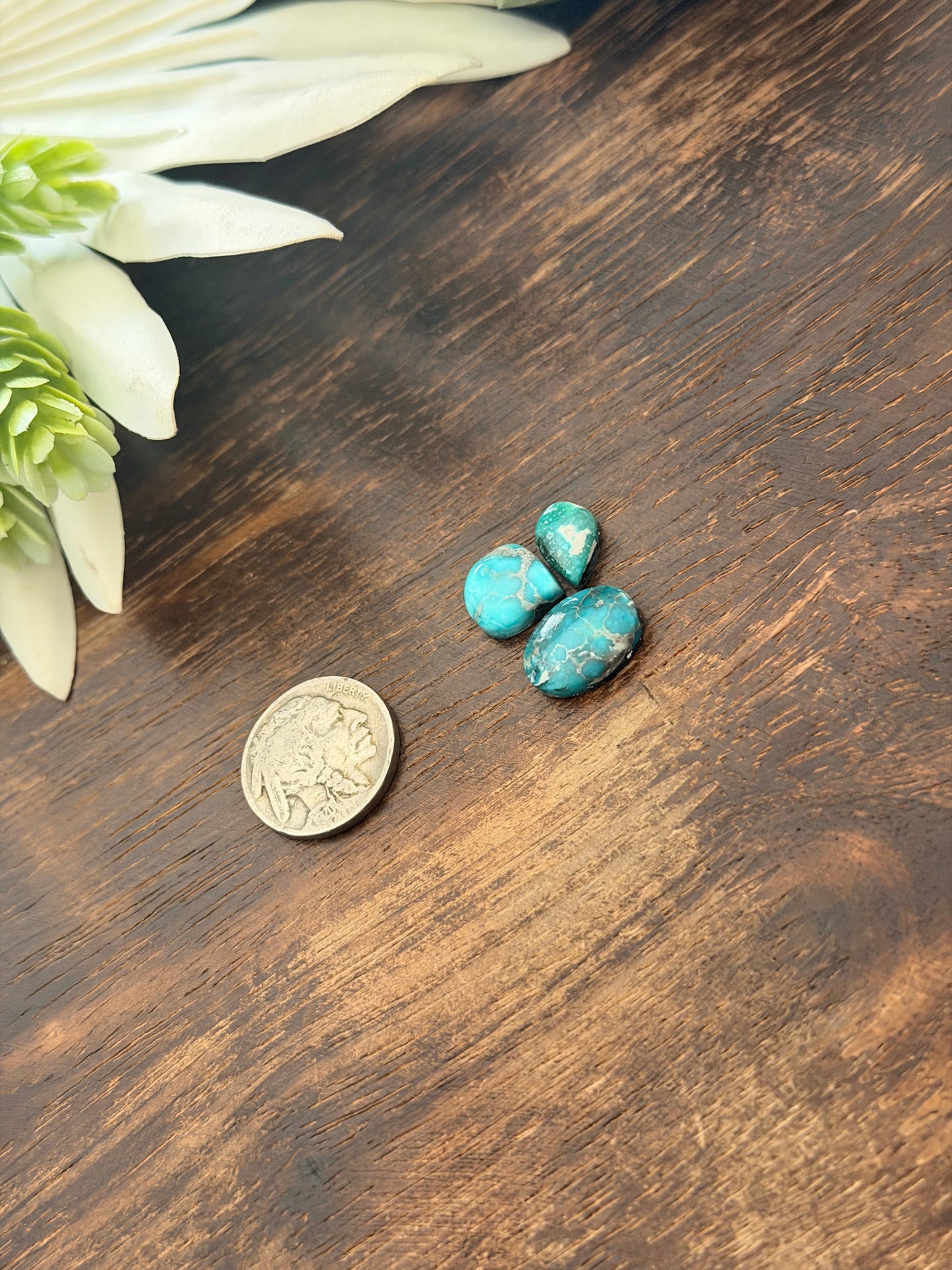 White Water Turquoise Cabs